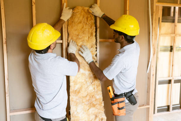 Best Best Insulation Companies  in Fishersville, VA
